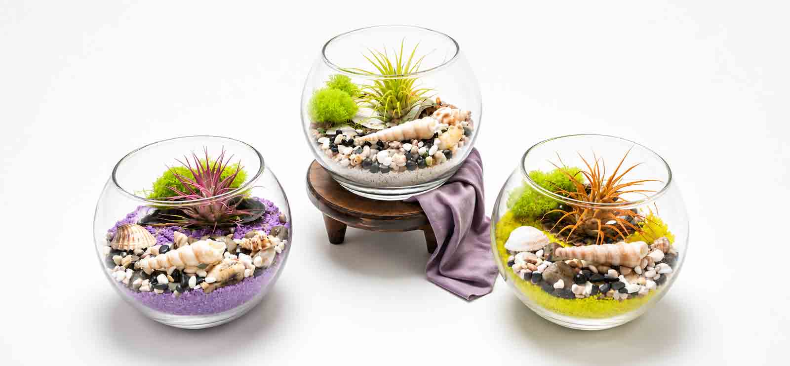 Desert Grace Collection