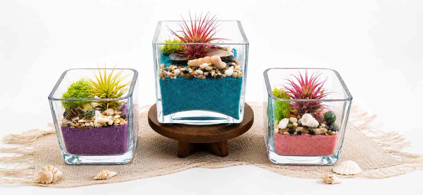 Living Waters Collection