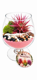 Zayn Glass