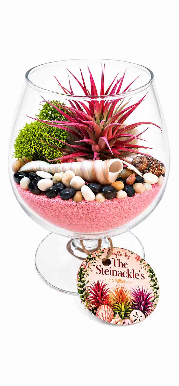 Zayn Glass